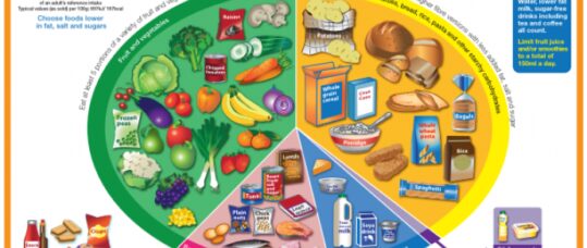 Eatwell Plate redesigned to cut out sugary drinks