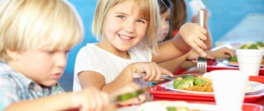 Academies and free schools do not have to offer healthy meals