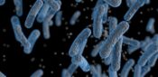 NHS to receive incentives for reducing E. coli infection rates, says Hunt