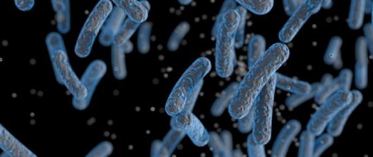 NHS to receive incentives for reducing E. coli infection rates, says Hunt