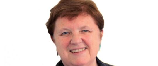 NMC seeking new council chair
