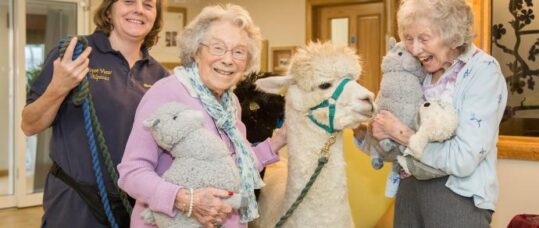 The truth about about care home nursing