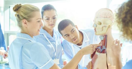 Hundreds of graduates in Wales could be left without jobs, warns RCN
