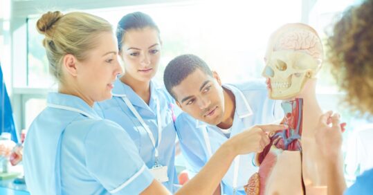 ‘Flood’ of newly registered nurses unable to find jobs