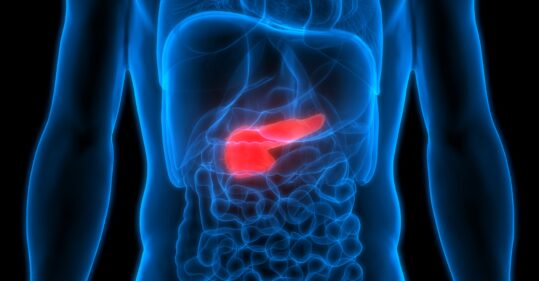 Type 2 diabetes remission restores pancreas to ‘near health’