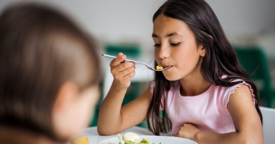 Nursing groups urge PM to extend free school meals