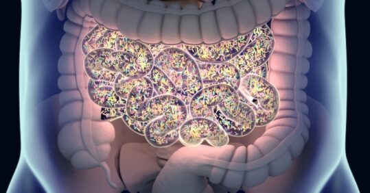 Gut bacteria could affect prostate cancer treatments