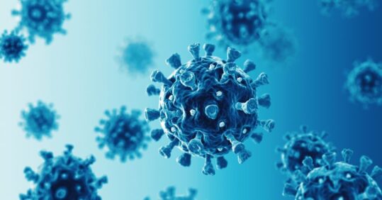 Covid immunity from Moderna jab ‘still high after six months’