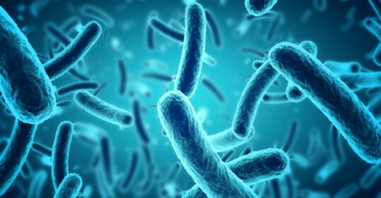 Antibiotics less effective when multiple microbes present