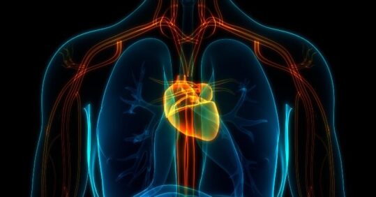 Number of people with atrial fibrillation at all-time high