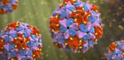 UK polio eradication status ‘at risk’, warns UKHSA nurse