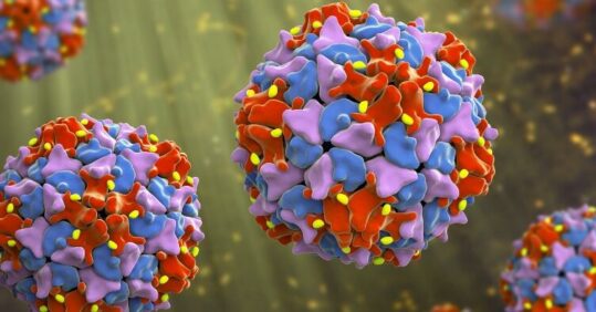UK polio eradication status ‘at risk’, warns UKHSA nurse