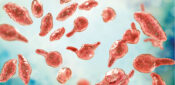 Mycoplasma genitalium – an emerging global health threat
