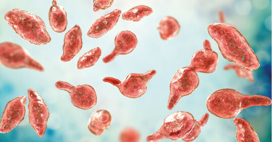 Mycoplasma genitalium – an emerging global health threat