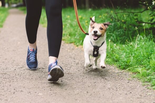 Exercise reduces risk of kidney disease in patients with type 2 diabetes Nursing in Practice
