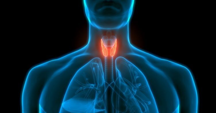 CPD: Reviewing patients with hypothyroidism
