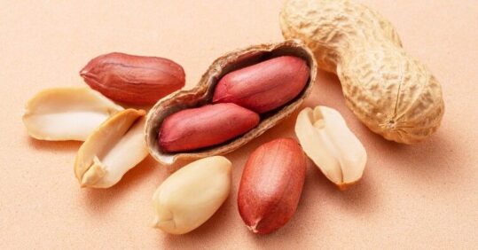 Early exposure to peanuts in infancy could see allergy ‘plummet’