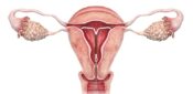 Supporting access to intrauterine contraception