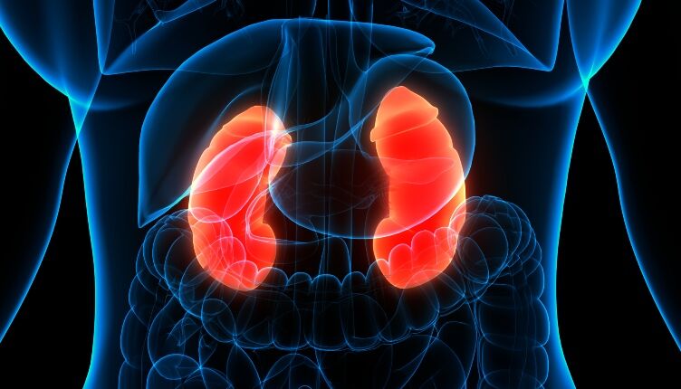 Urgent action needed to address UK kidney health inequalities